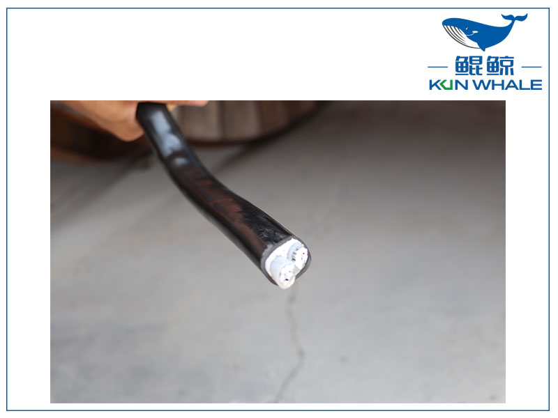 河南鄭州太平洋電纜廠(chǎng)家告訴你什么是單芯電纜