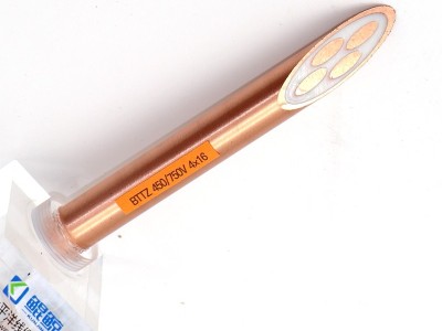 bttz電纜有五芯的嗎？