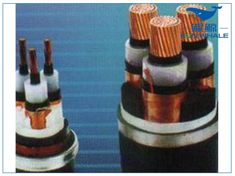 河南太平洋電纜淺談想要家裝電線不被坑，那就看好這五步