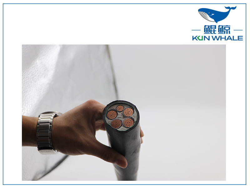 河南太平洋電線(xiàn)電纜,WDZB-YJY,低煙無(wú)鹵電纜,低煙無(wú)鹵阻燃電纜