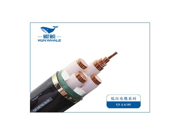 電力電纜選購(gòu)指南：3步避開(kāi)非標(biāo)陷阱，2025電纜廠(chǎng)家推薦