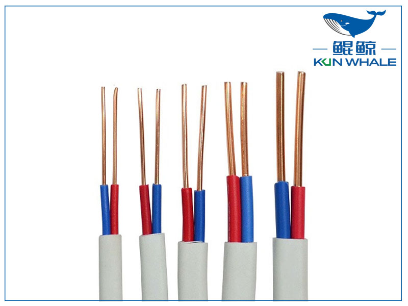太平洋線纜帶你了解什么是bvvb電線？