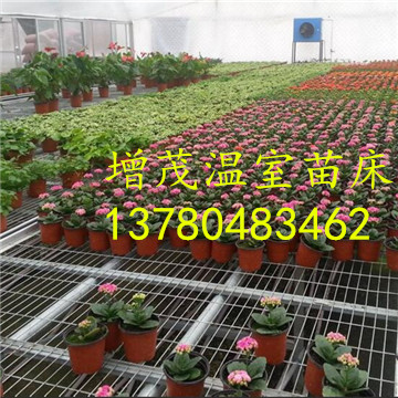 溫室<a href='/' target='_blank'><a href='http://www.ssav9.com/miaochuangsheshi/203.html'target='_blank'>花架網</a></a>廠家