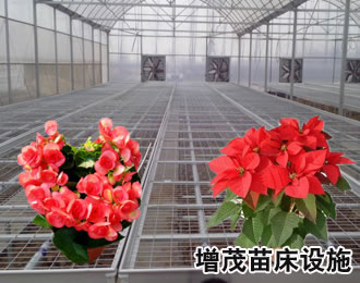 盆景網片.jpg
